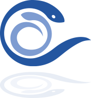 simbolo anguilla